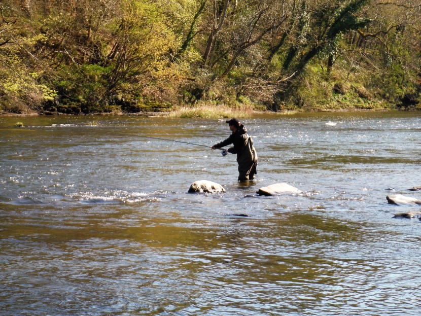 Llangoed spring salmon fishing